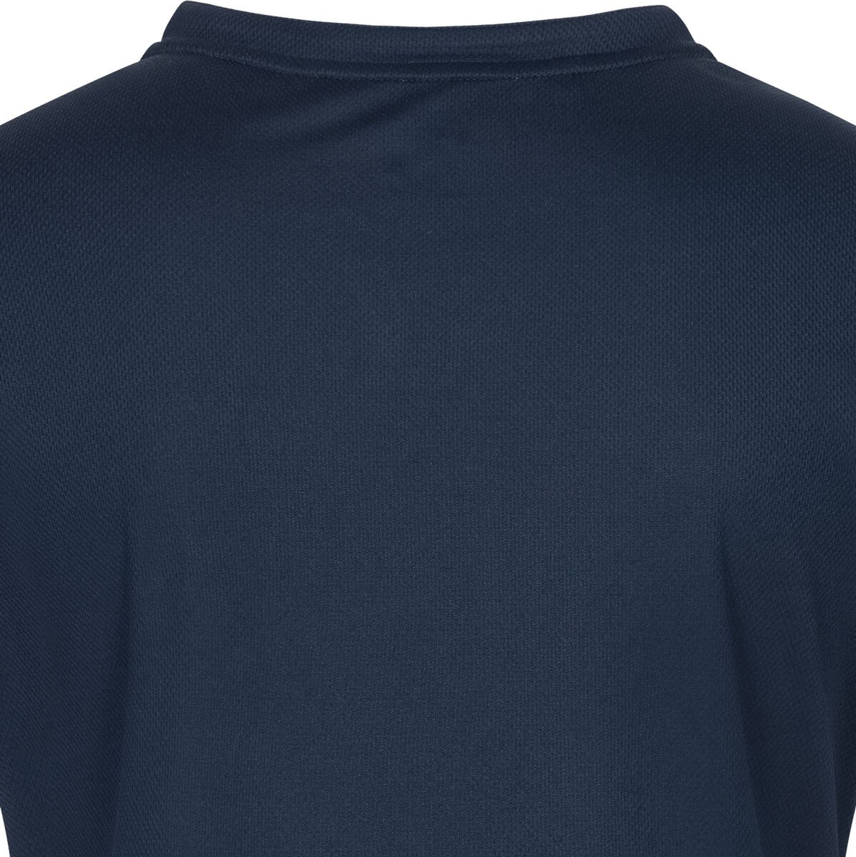 Butterfly Puren Lady Shirt: Back view of Blue Shirt